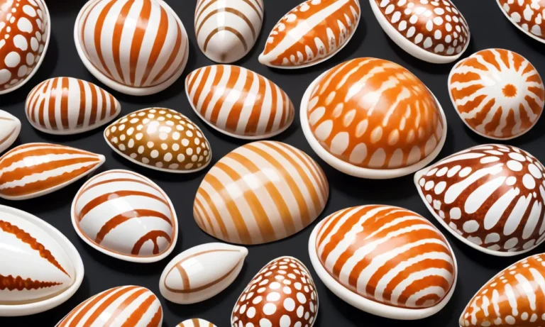 Cowrie Shells: A Timeless Symbol of Wealth and Status