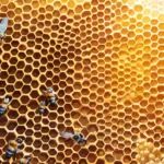 honeycomb dream meaning