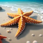 starfish