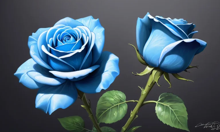 What Is The Meaning of A Blue Rose?