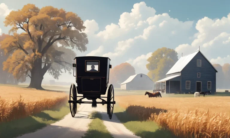 Amish Dream Meaning