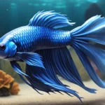 blue betta fish dream meaning