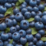 Blueberry Dream Meaning