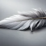 grey feather