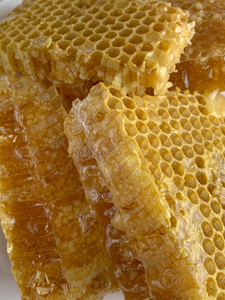 Honey Dreams: Uncovering Their Sweet Symbolism and Spiritual Meaning 2 Delicious Honeycomb Filled with Honey