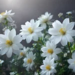 Seeing White Flowers Dream Meaning